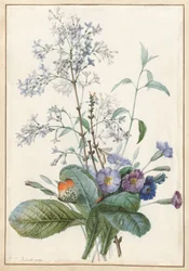 Un bouquet de fleurs avec des insectes